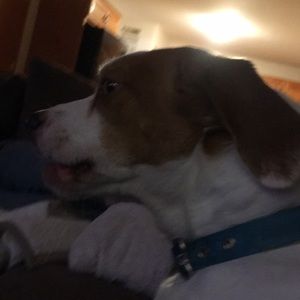 Meet your Posher, Melanie